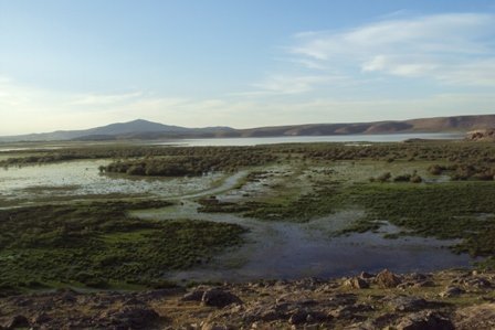 ۹ تالاب ایران در لیست سیاه کنوانسیون رامسر/ وضعیت دریاچه ارومیه بحرانی و کیفیت «کانی برازان» نامطلوب