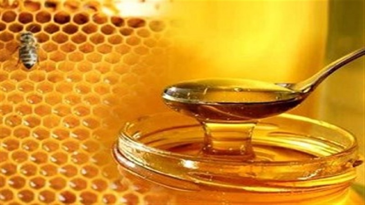 ۳۰۵ هزار کلنی عسل در زنبورستان های کردستان وجود دارد