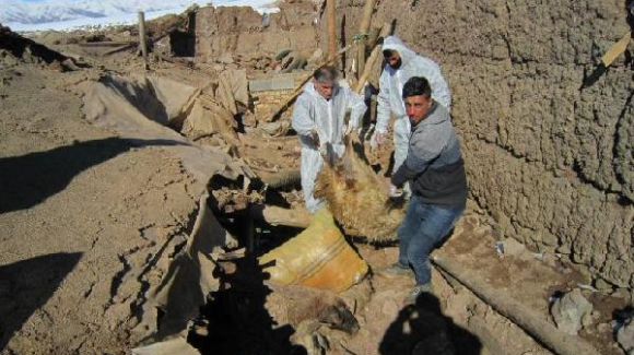 2هەزار سەر مەڕوماڵات لە بوومەلەرزەکەی خویدا لەناو چوون